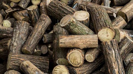 ESSICCAZIONE LEGNA DA ARDERE